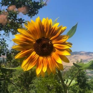 Meet your Posher, Mariah